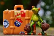 免費(fèi)游戲禮包，開啟你的冒險(xiǎn)之旅