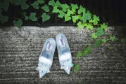 夢(mèng)中奇遇，懷孕的啟示，夢(mèng)中奇遇，懷孕的啟示