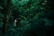 夢(mèng)中的騎行之旅，一次難忘的自行車夢(mèng)，夢(mèng)中的騎行之旅，難忘的自行車夢(mèng)之旅