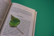 夢到丟書的啟示與反思