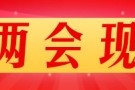 政協(xié)委員熱議 推進(jìn)統(tǒng)一大市場(chǎng)建設(shè)  要建立公平統(tǒng)一的市場(chǎng)監(jiān)管體系