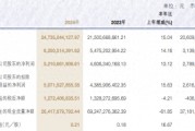 申萬宏源去年?duì)I收增長超15%，投行業(yè)務(wù)收入降逾27%