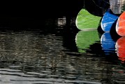 夢魘之河，在臟水中的游泳之旅