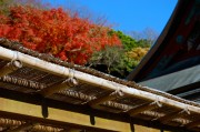夢中的探索之旅——挖掘水源的啟示