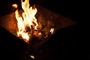 夢(mèng)到大黃牛，神秘與力量的象征，夢(mèng)到大黃牛，神秘與力量的象征