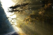 夜色游戲免費(fèi)？這是一個(gè)引人入勝的話題，它涉及了虛擬現(xiàn)實(shí)游戲、電子競(jìng)技、人工智能等多個(gè)領(lǐng)域。夜色游戲自由雖然看起來非常吸引人，但實(shí)際上，這個(gè)詞語所蘊(yùn)含的含義卻有所不同。，虛實(shí)之間，夜色游戲的雙面性探討