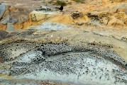 夢(mèng)境中的異樣景象——夢(mèng)到別人在拉屎的心理解讀