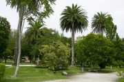 官方網(wǎng)站花架搭建指南，打造視覺(jué)盛宴的綠色空間，打造綠色視覺(jué)盛宴，官方網(wǎng)站花架搭建全攻略，官方網(wǎng)站綠色花架搭建全攻略，打造視覺(jué)盛宴的綠意空間