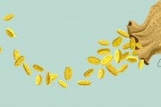 互換便利大幅提高機(jī)構(gòu)潛在杠桿能力，16萬億元險(xiǎn)資蓄勢待發(fā)