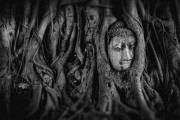 夢(mèng)中的神秘之旅，與大烏龜?shù)腻忮?，?mèng)中神秘之旅，與大烏龜?shù)腻忮? title=