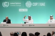 COP29氣候大會(huì)臨近，歐美金融高管參會(huì)熱情降溫