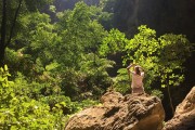 山路之夢(mèng)，探索未知的旅程，山路之夢(mèng)，探索未知的旅程