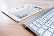 Google流量網(wǎng)站，揭秘搜索引擎流量背后的秘密，解碼Google流量，搜索引擎流量之謎全解析