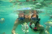 夢到逮魚的奇妙之旅，夢中的逮魚奇妙之旅