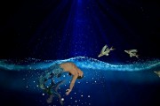夢(mèng)中的魚(yú)咬之痛，解讀與思考，夢(mèng)中之魚(yú)咬痛，解讀與深度思考