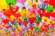 夢(mèng)境中的老鼠狂歡，夢(mèng)境中的老鼠狂歡之旅