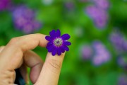 芭比打扮游戲免費(fèi)下載，讓小女孩過上精致的生活，芭比打扮游戲