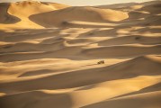 夢(mèng)中的布料之旅，夢(mèng)游布料之旅