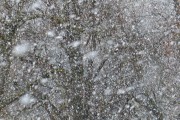 雪舞夢(mèng)境——我的夢(mèng)中雪景，雪舞夢(mèng)境，我的夢(mèng)中雪景的詩意之旅