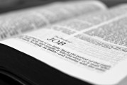 如何查看淘寶注冊(cè)日期？，如何查詢(xún)淘寶賬號(hào)的注冊(cè)日期？
