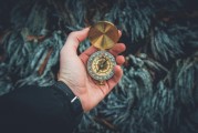 夢中的白發(fā)生長，一次關(guān)于時間、衰老與自我認(rèn)知的探索，夢中的白發(fā)生長，時間、衰老與自我認(rèn)知的探索