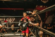 格斗游戲的狂熱與挑戰(zhàn)——探尋免費(fèi)版的力量，探索付費(fèi)格斗游戲，免費(fèi)版本的力量