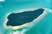 夢(mèng)到抓魚的奇幻之旅，夢(mèng)中之魚，奇幻的抓魚之旅
