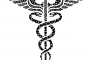 夢(mèng)中蛇影，解析頻繁夢(mèng)到蛇的神秘現(xiàn)象