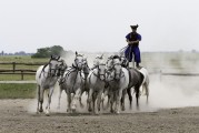 馬場俱樂部注冊指南，輕松開啟您的馬術(shù)之旅，輕松入局馬術(shù)世界，馬場俱樂部注冊全攻略