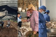 奇富科技百萬幫扶云南中屏鎮(zhèn)：菌菇田里的振興密碼與“村BA”的雙向奔赴
