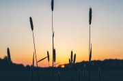 夢(mèng)境中的愛(ài)與激情，夢(mèng)境中的愛(ài)與激情之旅