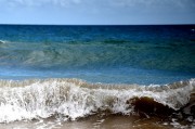 夢(mèng)中的魚(yú)海之旅