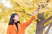 夢中情愫——我與夢中人的奇妙邂逅，夢中情愫，我與夢中人的神秘邂逅