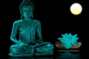 夢魘之影，夢到姐姐去世的內(nèi)心掙扎，夢魘之影，姐姐離世的心靈掙扎