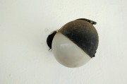 解讀夢(mèng)境中的鱉，象征意義與心理暗示