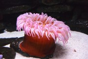 夢(mèng)到抓魚(yú)，豐收與希望的象征，夢(mèng)到抓魚(yú)，豐收與希望的象征