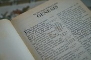 輕松入門，教你如何在論壇注冊賬號，論壇新手指南，輕松注冊賬號全攻略