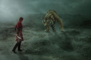 夢(mèng)中的勇氣，與老虎搏斗的奇幻之旅，夢(mèng)中的勇氣，與老虎搏斗的奇幻之旅