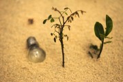 輕盈的夏日午后——輕松享受薄荷游戲免費(fèi)，輕松享受，夏季薄荷游戲——只用一包薄荷