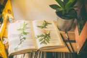 免費(fèi)游戲的春天，11個值得推薦的游戲，最新11款免費(fèi)游戲推薦，春天來臨的免費(fèi)游戲狂歡盛宴