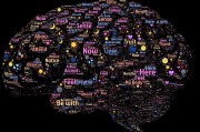 三國類免費游戲的探索與啟示，三國志系列，策略、戰(zhàn)爭與歷史深度解密