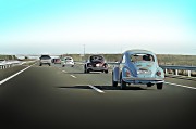 賽車(chē)之夢(mèng)，速度與激情的交織，賽車(chē)之夢(mèng)，速度與激情的交織
