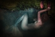 野貓之夢，神秘、自由的象征，野貓之夢，神秘自由的象征