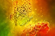 體驗(yàn)無限可能的戶外游戲，免費(fèi)游戲的無限可能，挑戰(zhàn)極限，自由游戲——您的戶外冒險(xiǎn)樂趣新起點(diǎn)