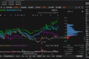 路通視信資金占用形成的關聯(lián)交易，投資者可索賠！