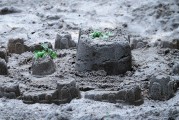 夢中的雷擊，心靈的覺醒之旅，夢中的雷擊，心靈的覺醒之旅