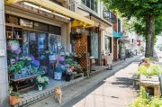夢中的樓房，一場心靈的探索之旅，夢中的樓房，心靈探索之旅的啟程