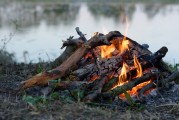 全球熱門大逃殺游戲，免費(fèi)下載與體驗(yàn)，全球熱門大逃殺游戲，免費(fèi)下載體驗(yàn)一覽