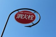 無廣告、無內(nèi)購、無充值的跑酷游戲大放送！為愛發(fā)電
