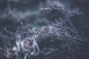 體驗(yàn)自由無(wú)拘無(wú)束的游戲世界——免費(fèi)主機(jī)游戲的魅力解析，如何領(lǐng)略自由無(wú)拘無(wú)束的游戲世界，從免費(fèi)主機(jī)游戲的特性解析